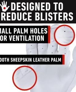 Franklin Powerstrap Adult Batting Gloves 12 Franklin Powerstrap Adult Batting Gloves