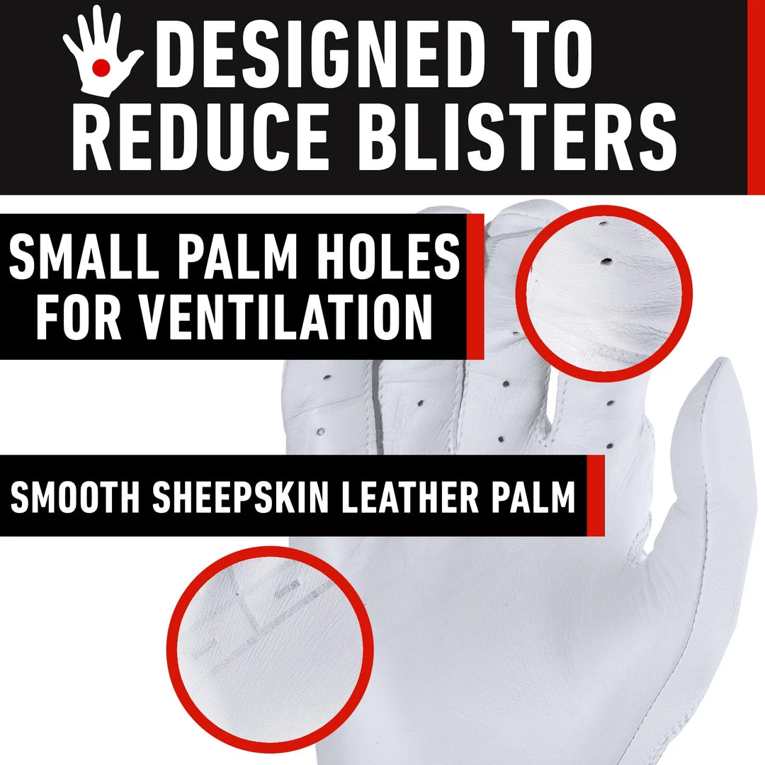 Franklin Powerstrap Adult Batting Gloves 6 Franklin Powerstrap Adult Batting Gloves